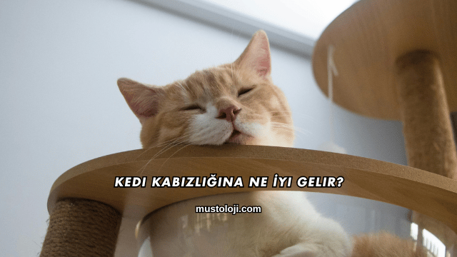 Kedi Kabızlığına Ne İyi Gelir?