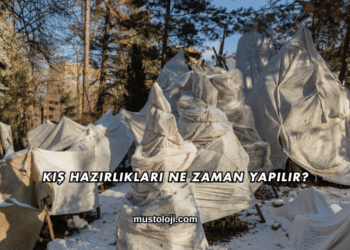 Kış Hazırlıkları Ne Zaman Yapılır?