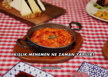 Kışlık Menemen Ne Zaman Yapılır?