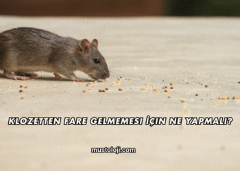 Klozetten Fare Gelmemesi İçin Ne Yapmalı?