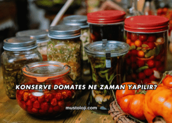 Konserve Domates Ne Zaman Yapılır?