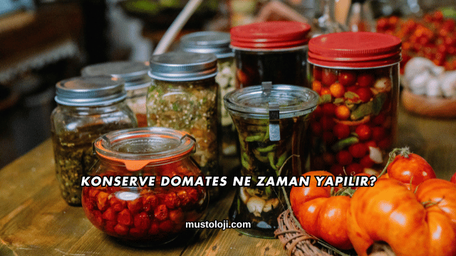 Konserve Domates Ne Zaman Yapılır?