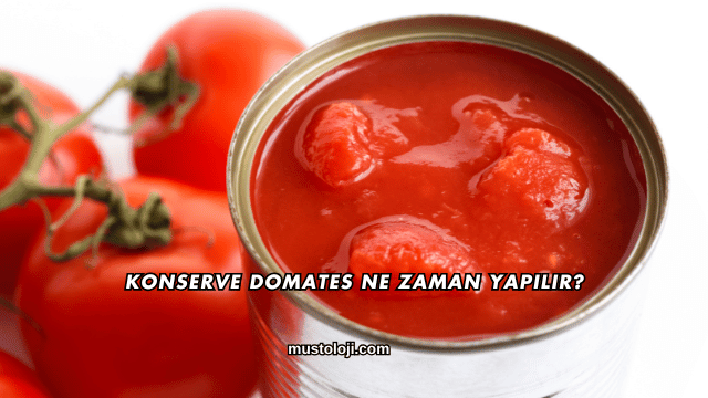 Konserve Domates Ne Zaman Yapılır?