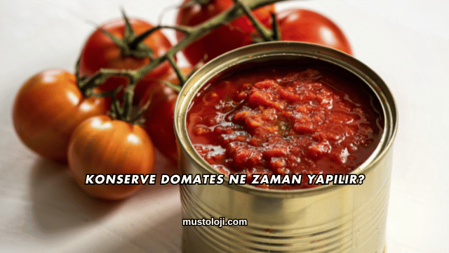 Konserve Domates Ne Zaman Yapılır?