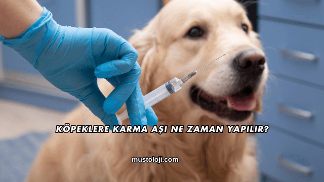 Köpeklere Karma Aşı Ne Zaman Yapılır?