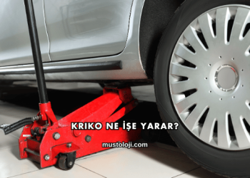 Kriko Ne İşe Yarar?