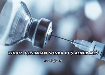 Kuduz Aşısından Sonra Duş Alınır mı?