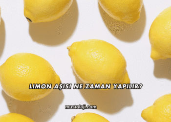 Limon Aşısı Ne Zaman Yapılır?
