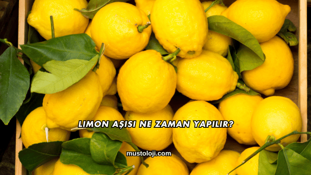 Limon Aşısı Ne Zaman Yapılır?