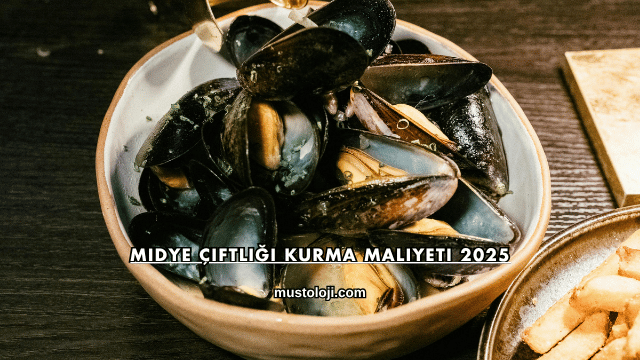 Midye Çiftliği Kurma Maliyeti 2025