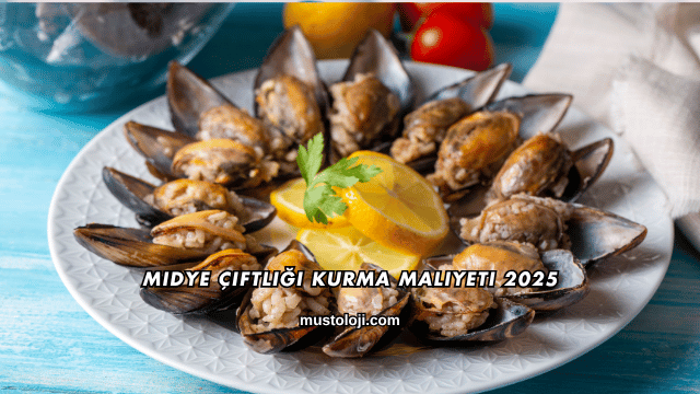 Midye Çiftliği Kurma Maliyeti 2025