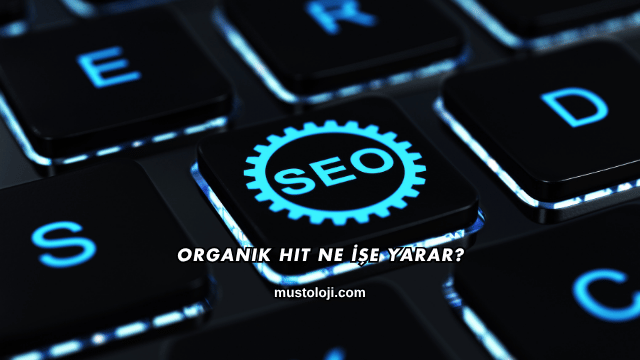 Organik Hit Ne İşe Yarar?