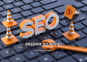Organik Hit Nedir?