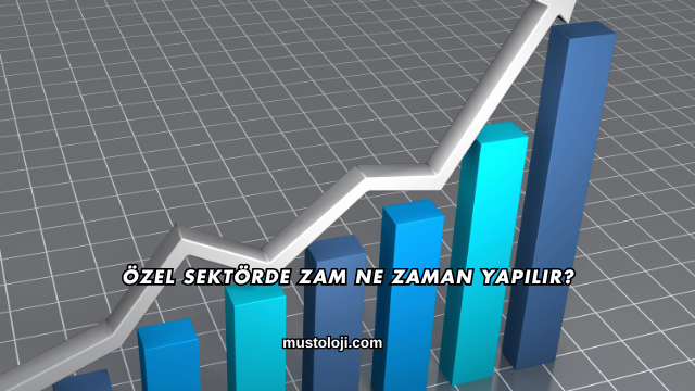 Özel Sektörde Zam Ne Zaman Yapılır?