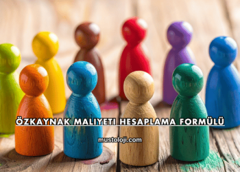 Özkaynak Maliyeti Hesaplama Formülü