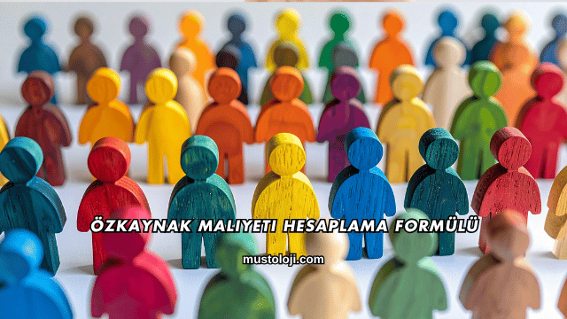 Özkaynak Maliyeti Hesaplama Formülü