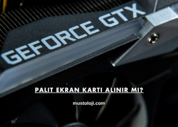 Palit Ekran Kartı Alınır mı?