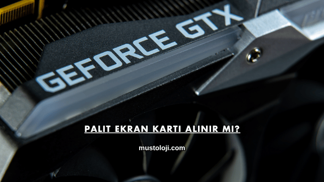 Palit Ekran Kartı Alınır mı?