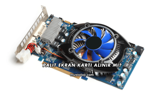 Palit Ekran Kartı Alınır mı?