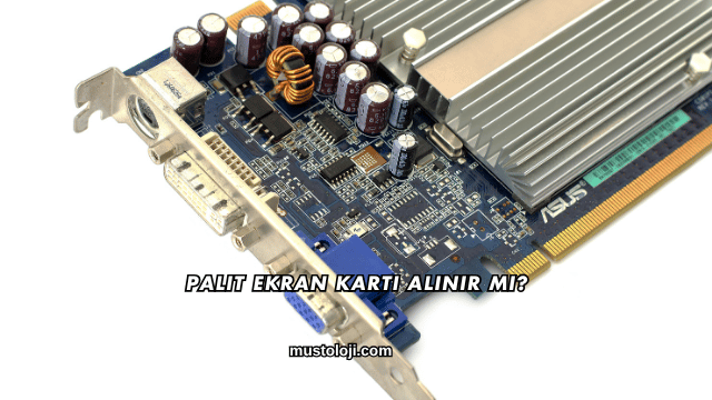 Palit Ekran Kartı Alınır mı?