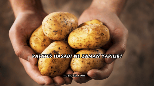 Patates Hasadı Ne Zaman Yapılır?