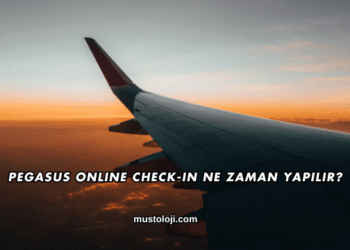 Pegasus Online Check-in Ne Zaman Yapılır?