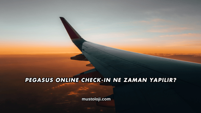 Pegasus Online Check-in Ne Zaman Yapılır?