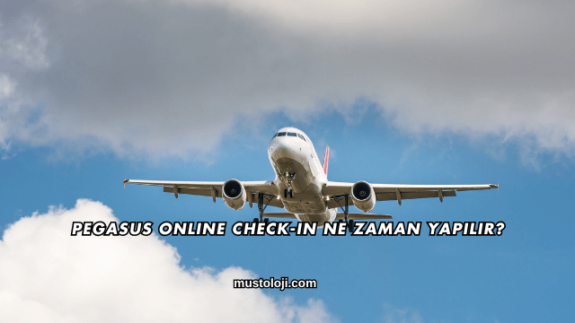 Pegasus Online Check-in Ne Zaman Yapılır?
