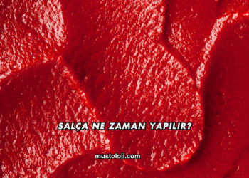 Salça Ne Zaman Yapılır?