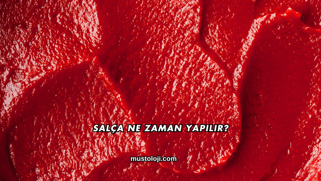 Salça Ne Zaman Yapılır?