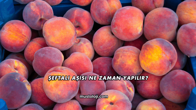 Şeftali Aşısı Ne Zaman Yapılır?