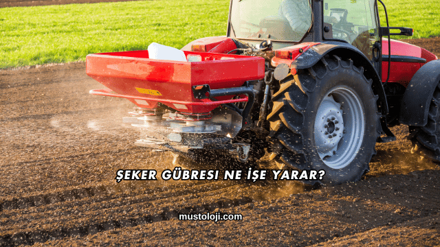 Şeker Gübresi Ne İşe Yarar?