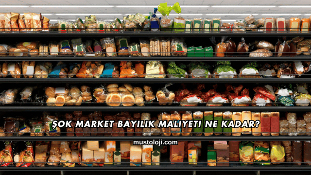 Şok Market Bayilik Maliyeti Ne Kadar?