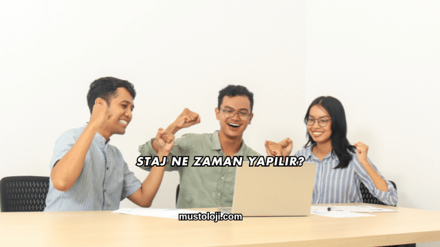 Staj Ne Zaman Yapılır?