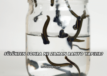 Sülükten Sonra Ne Zaman Banyo Yapılır?