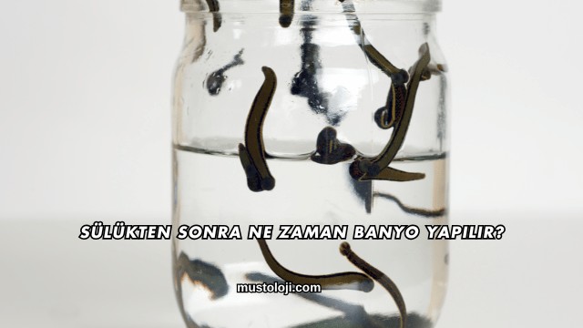 Sülükten Sonra Ne Zaman Banyo Yapılır?