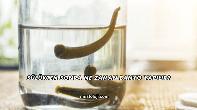 Sülükten Sonra Ne Zaman Banyo Yapılır?