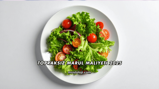 Topraksız Marul Maliyeti 2025