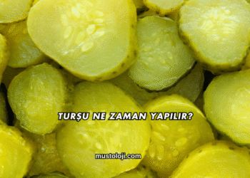 Turşu Ne Zaman Yapılır?