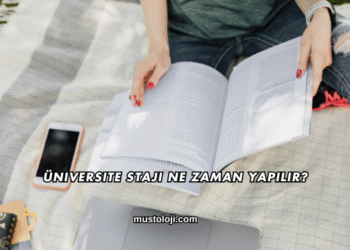 Üniversite Stajı Ne Zaman Yapılır?
