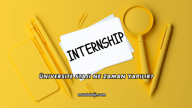 Üniversite Stajı Ne Zaman Yapılır?