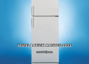 Vestel Bayilik Maliyeti 2025