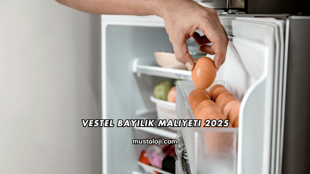 Vestel Bayilik Maliyeti 2025