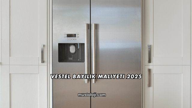 Vestel Bayilik Maliyeti 2025