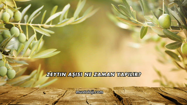 Zeytin Aşısı Ne Zaman Yapılır?