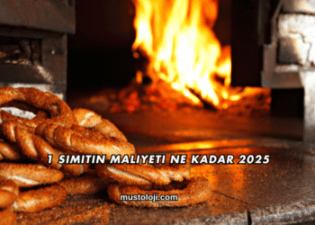 1 Simitin Maliyeti Ne Kadar 2025