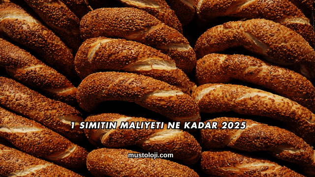 1 Simitin Maliyeti Ne Kadar 2025