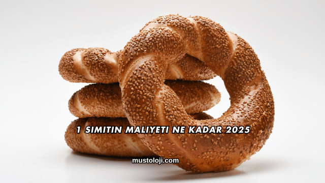 1 Simitin Maliyeti Ne Kadar 2025