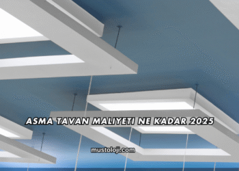 Asma Tavan Maliyeti Ne Kadar 2025