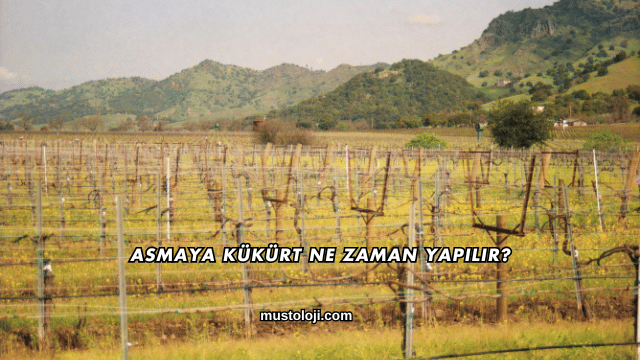 Asmaya Kükürt Ne Zaman Yapılır?